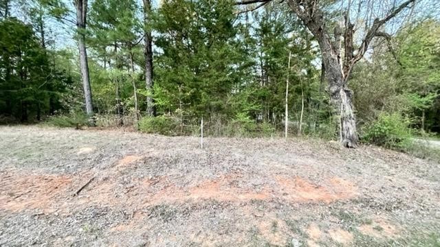 Lot 147 Navasota Mount Vernon TX 75457