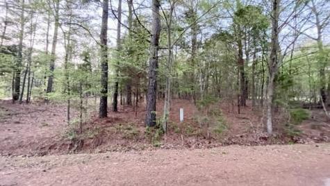 Lot 147 Navasota Mount Vernon TX 75457