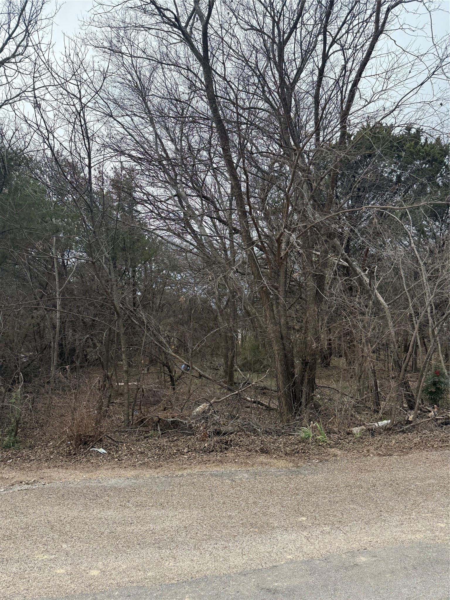 2102 Cactus Alley Granbury TX 76048