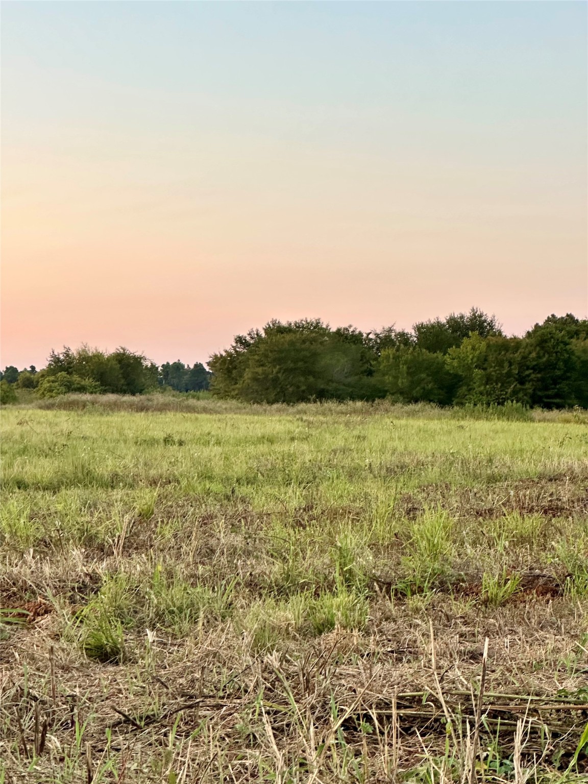 Tbd Cr 2174 Sulphur Springs TX 75482