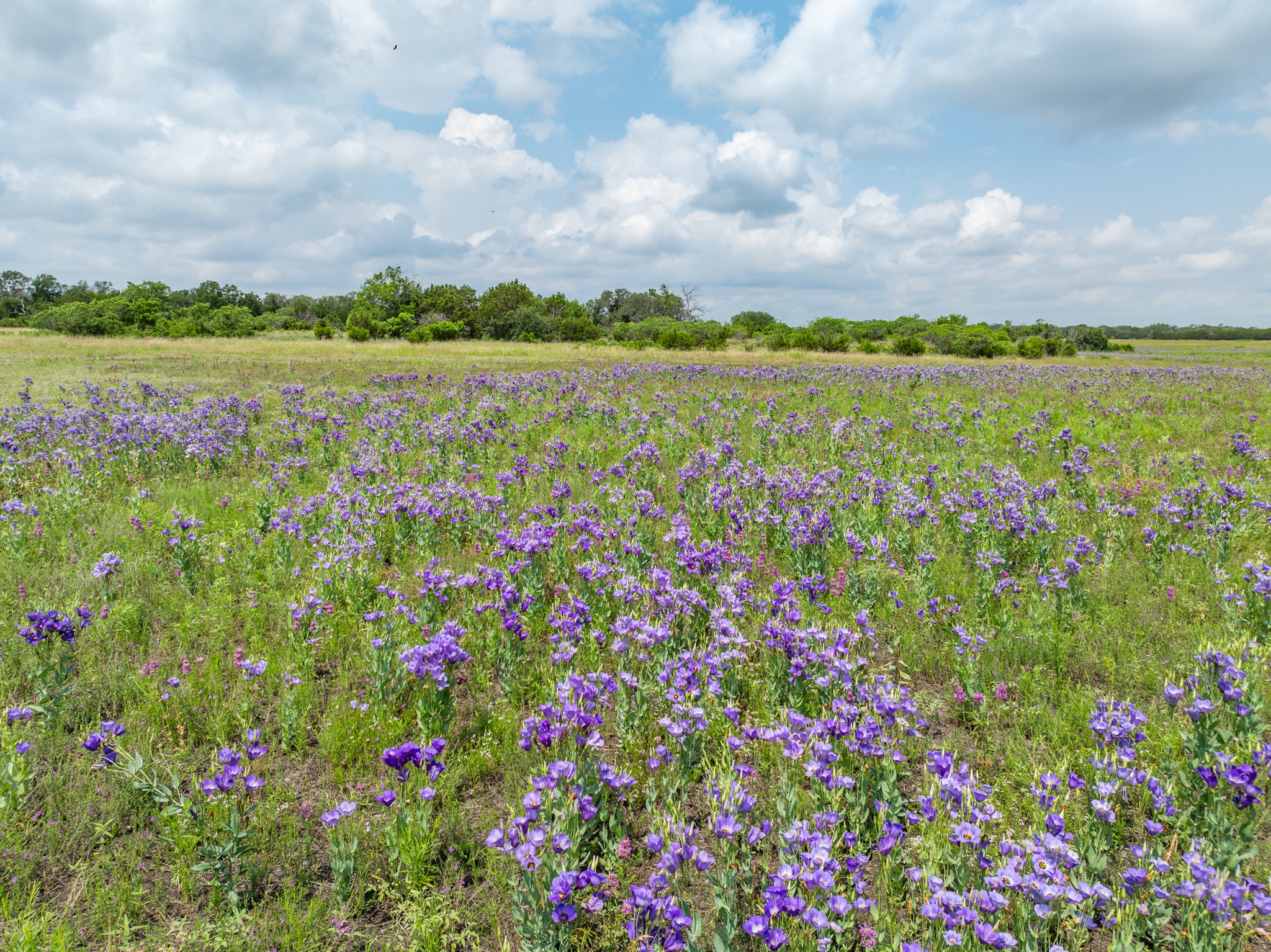 Lot 3 County Road 410 Evant TX 76525