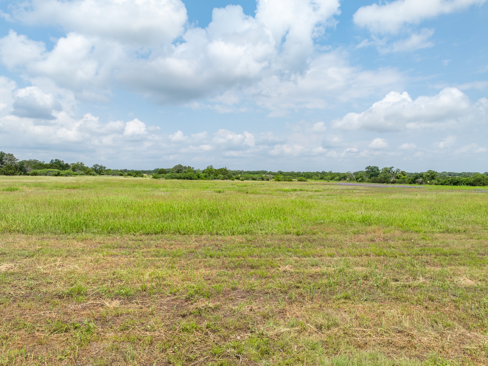 Lot 3 County Road 410 Evant TX 76525