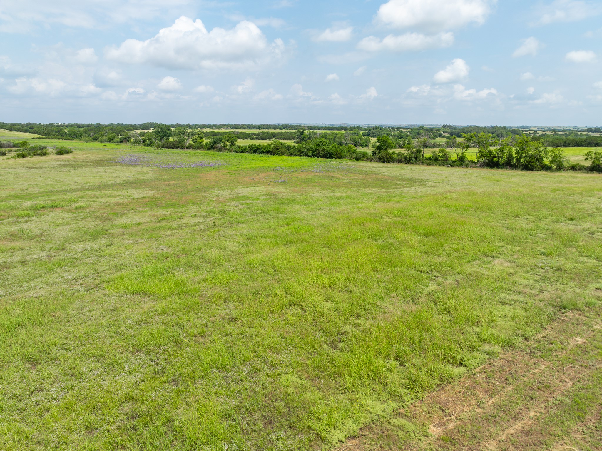 Lot 3 County Road 410 Evant TX 76525