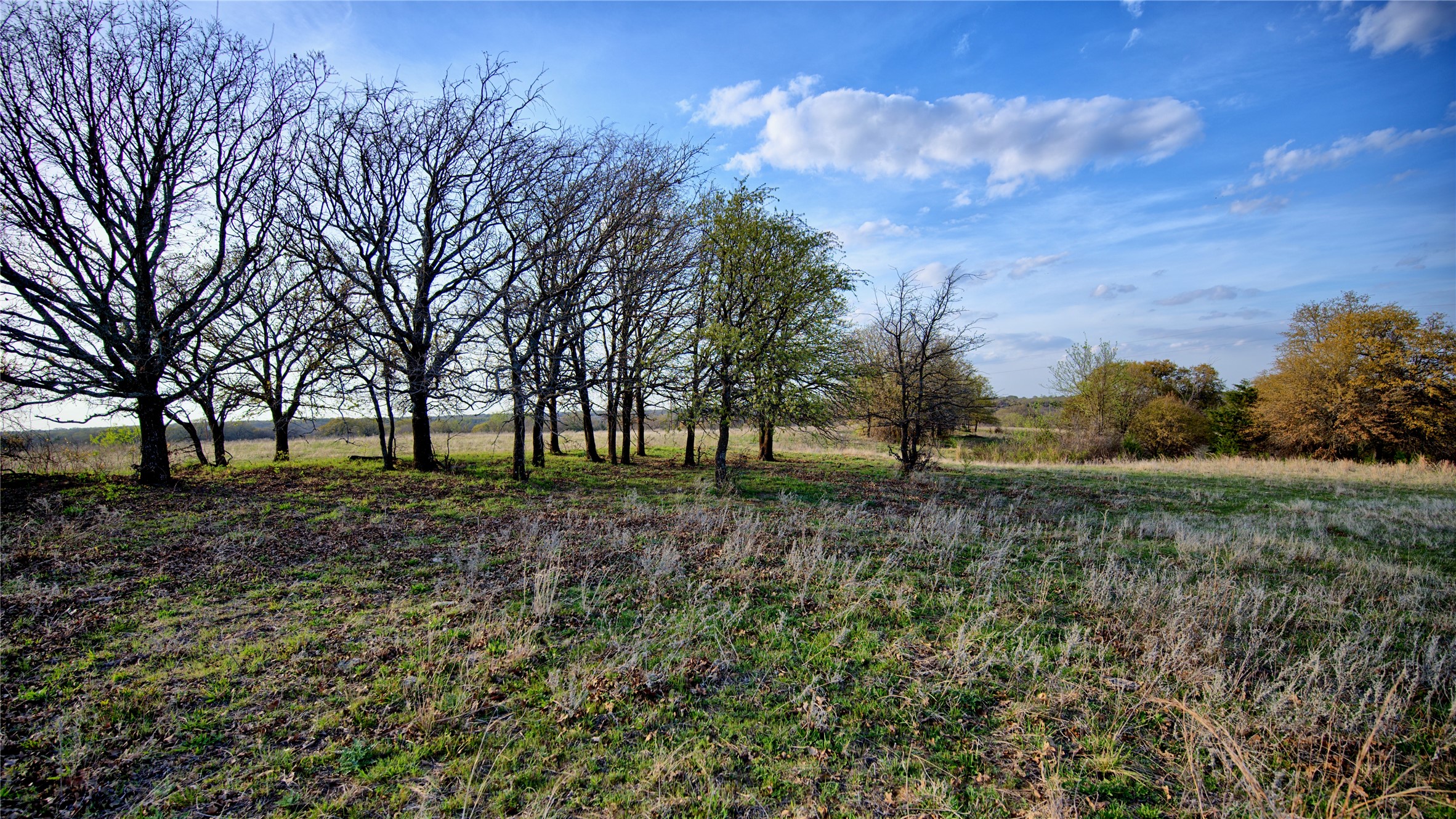 00 Dixie School Road Nocona TX 76255