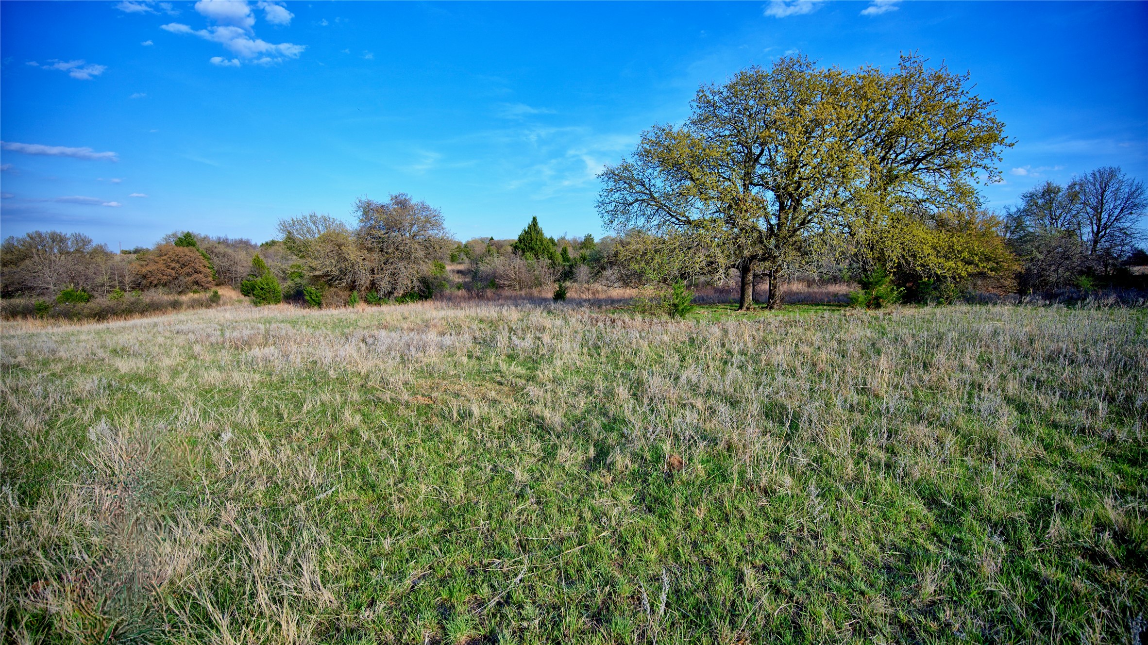 00 Dixie School Road Nocona TX 76255
