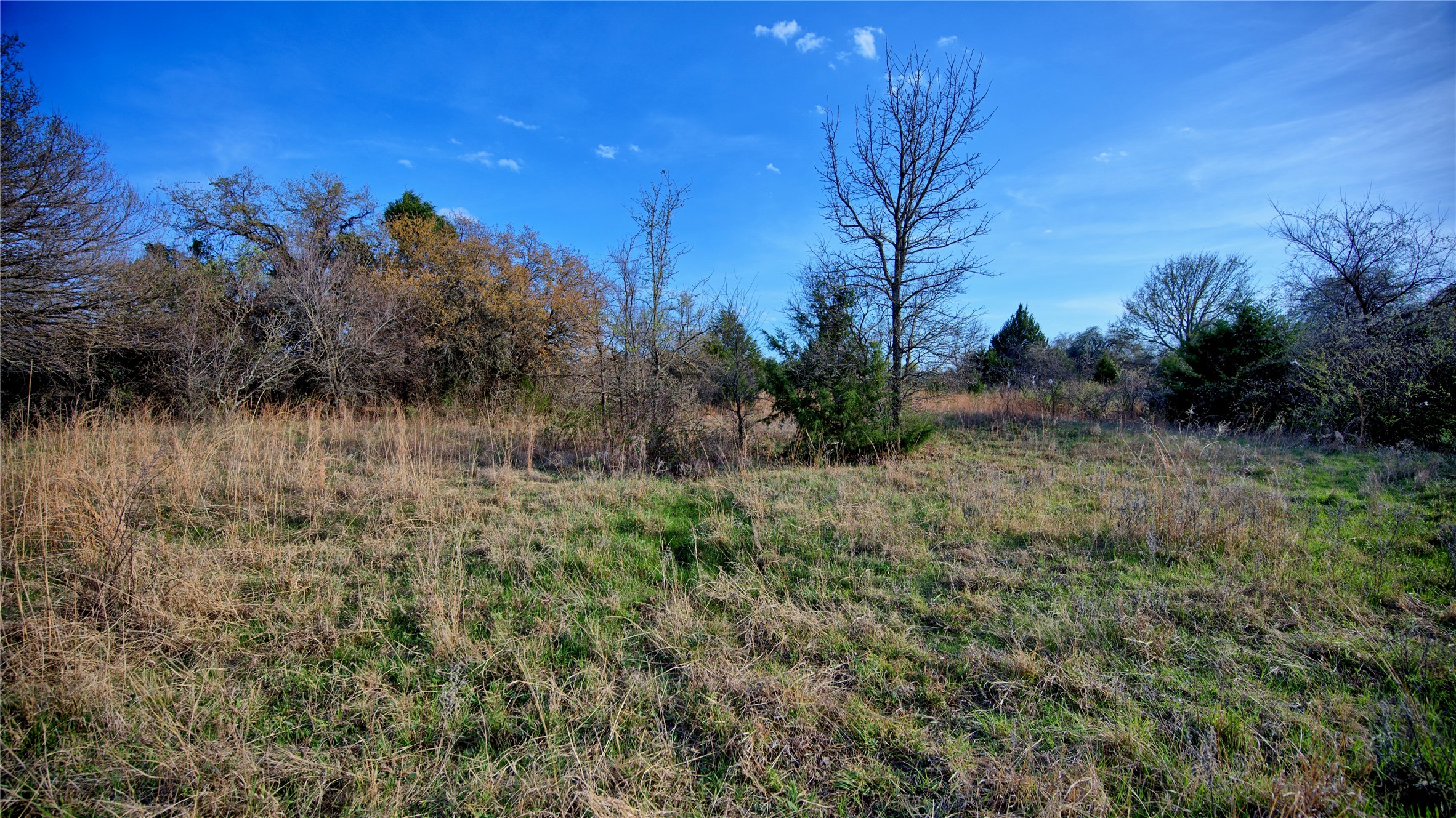 00 Dixie School Road Nocona TX 76255