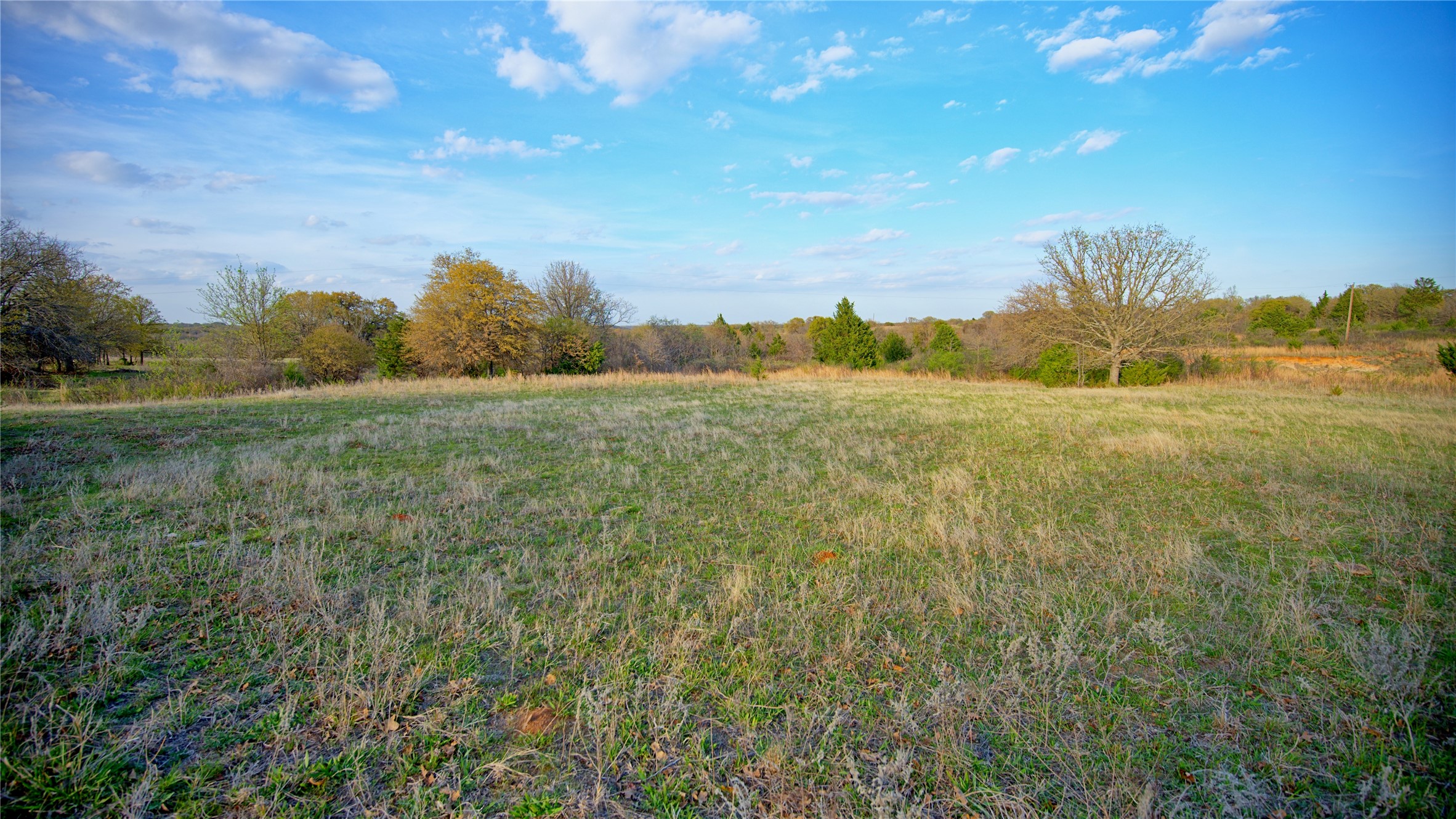 00 Dixie School Road Nocona TX 76255
