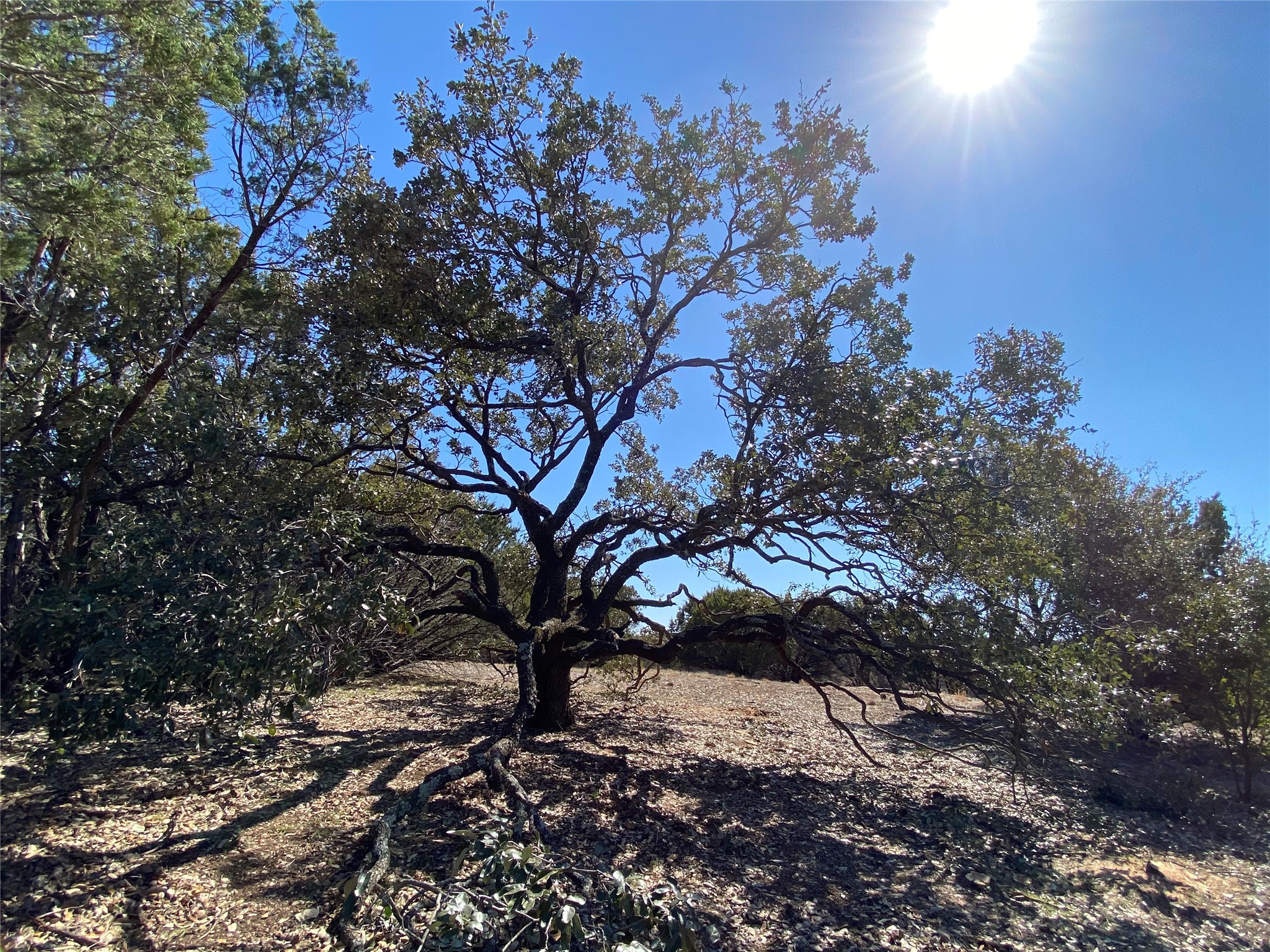 1052 Enchanted Rock Court Possum Kingdom Lake TX 76449