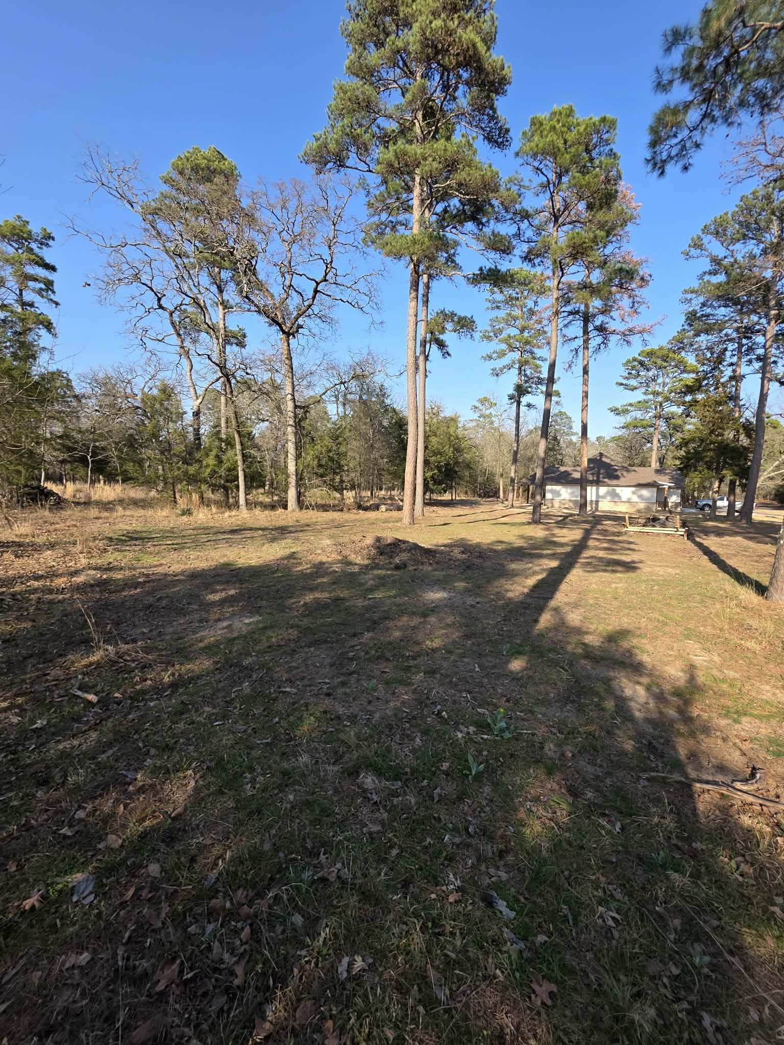 Lot 36 & 37 King Charles Road Scroggins TX 75480