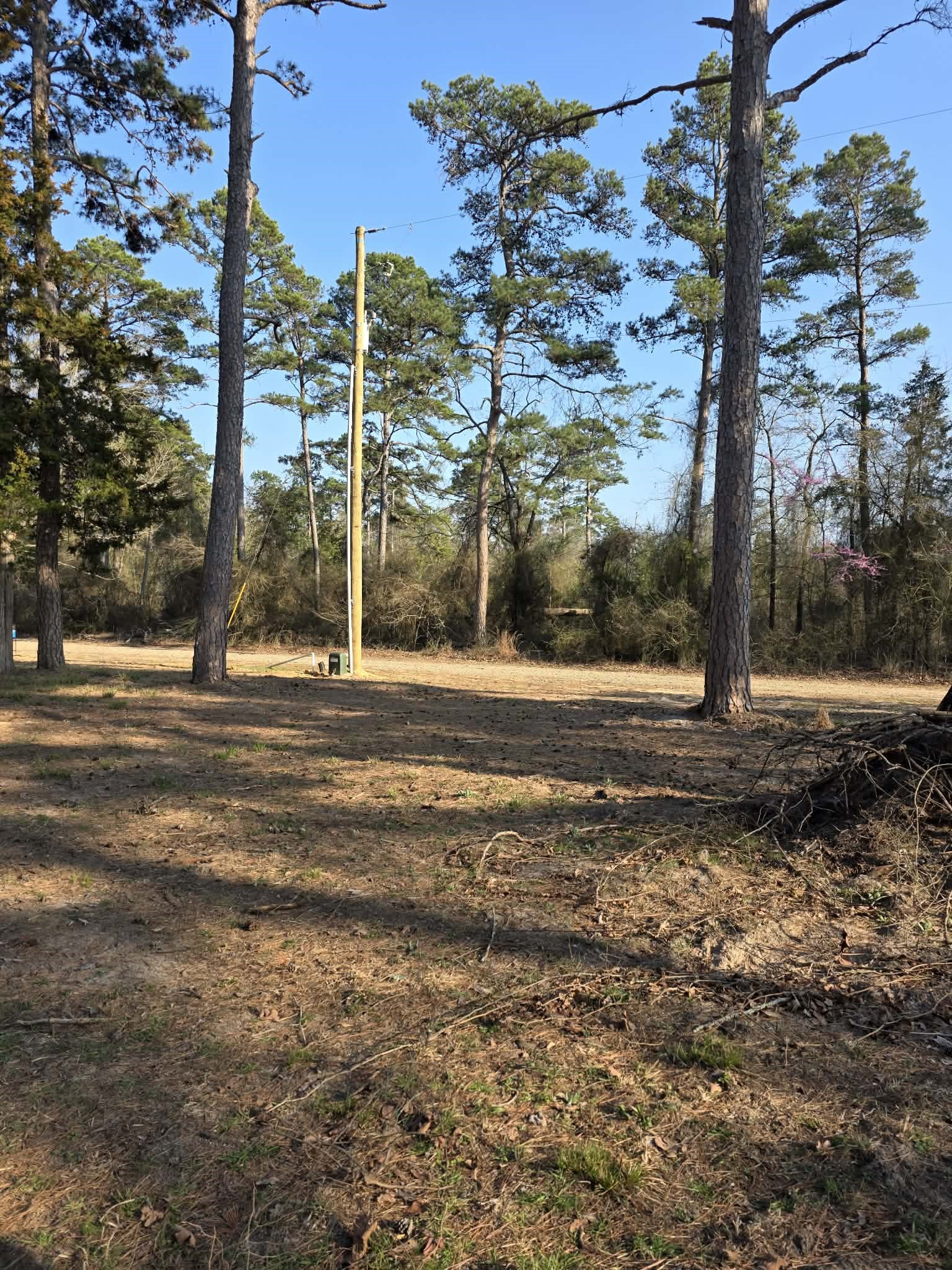 Lot 36 & 37 King Charles Road Scroggins TX 75480