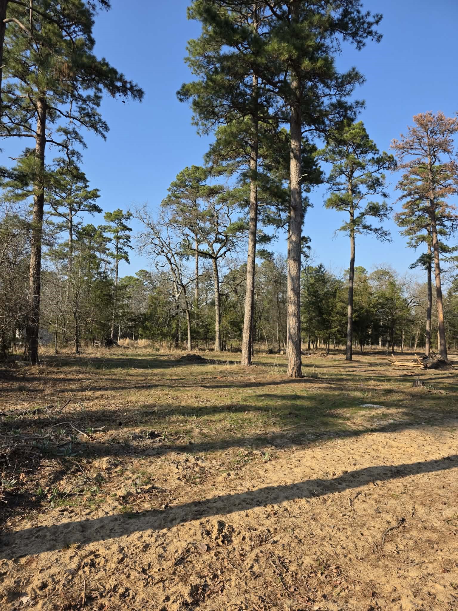 Lot 36 & 37 King Charles Road Scroggins TX 75480