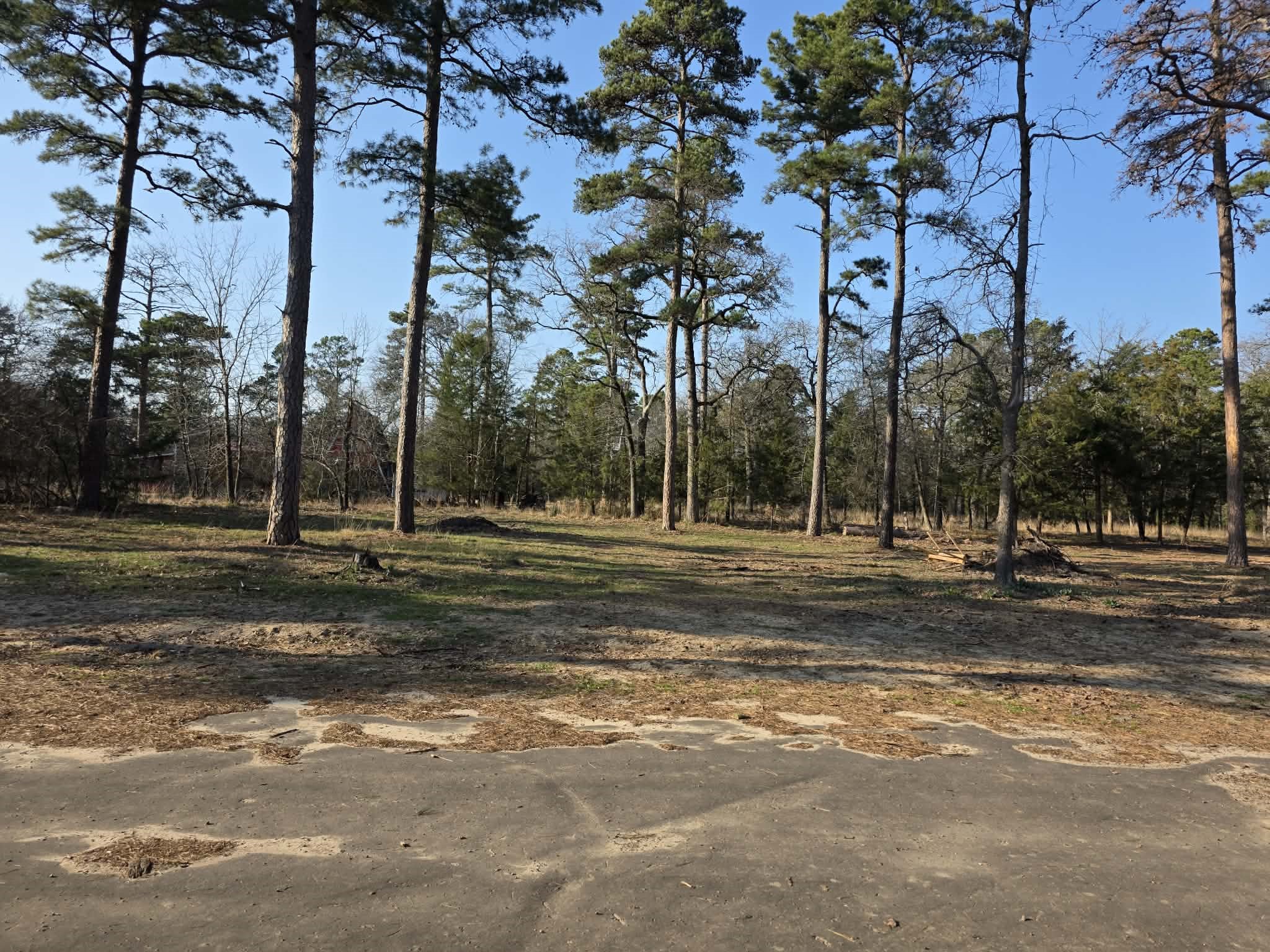 Lot 36 & 37 King Charles Road Scroggins TX 75480