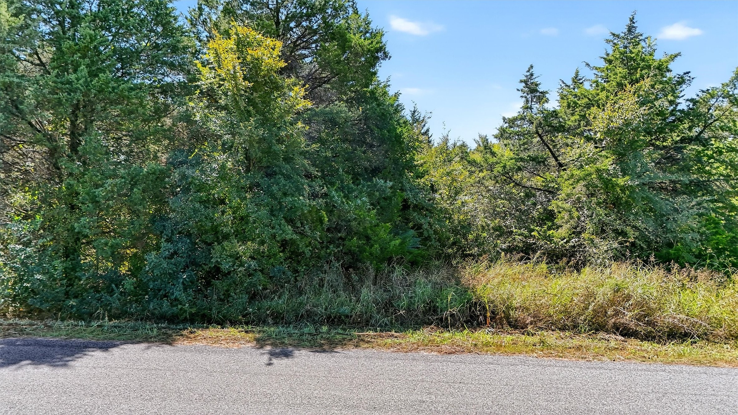 Tbd Old Sadler Road Sadler TX 76264