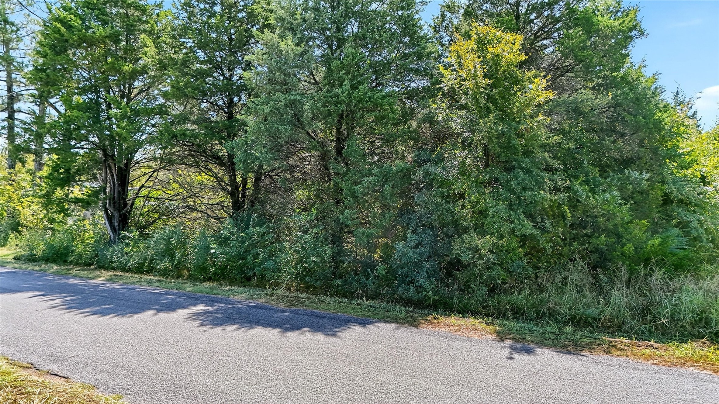 Tbd Old Sadler Road Sadler TX 76264