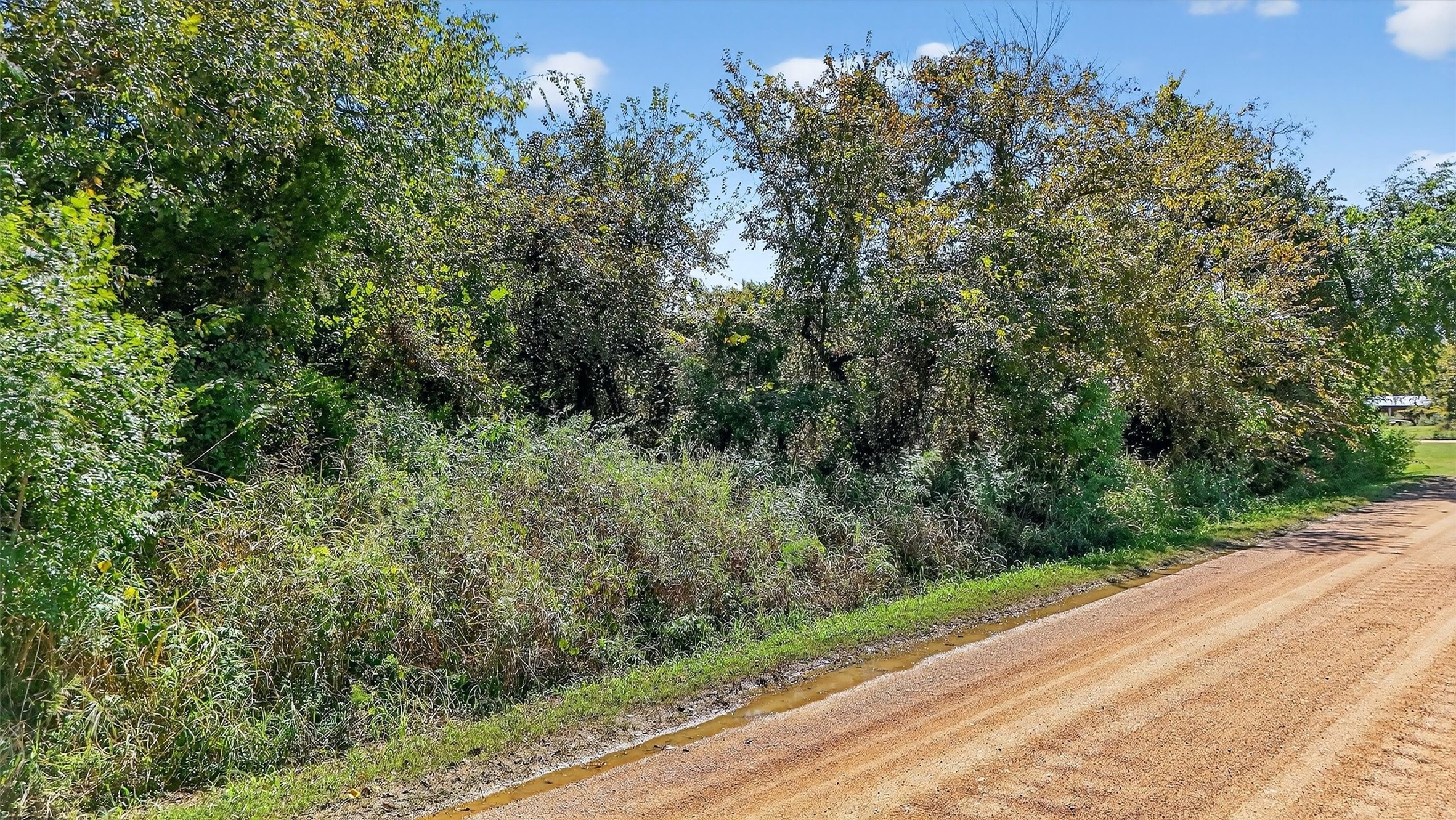 Tbd Old Sadler Road Sadler TX 76264