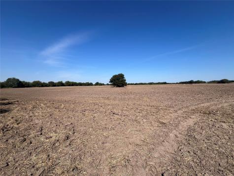 102.5 Acres Fm 744 Frost TX 76641
