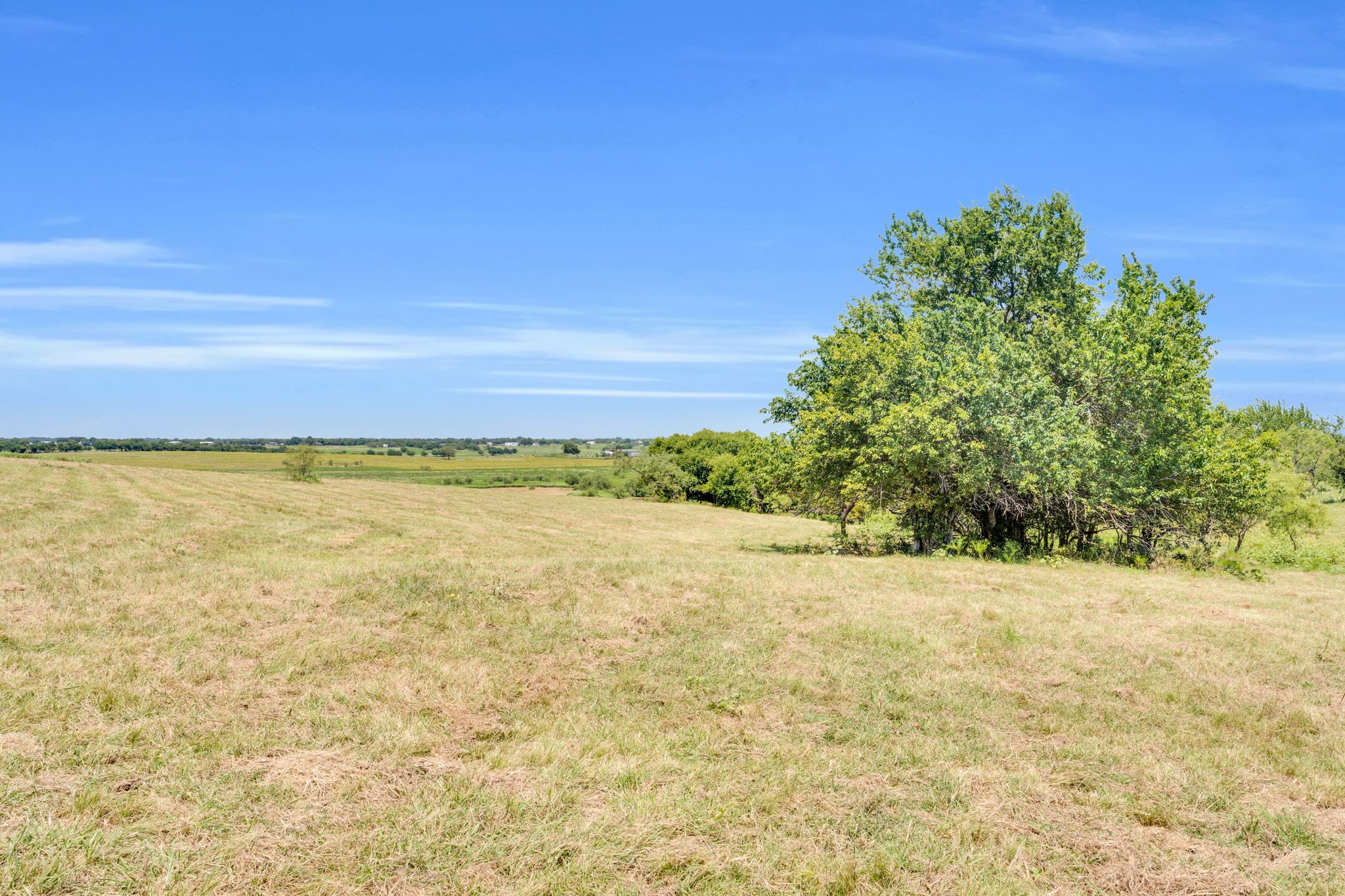 Tbd Pr 452 Grandview TX 76050