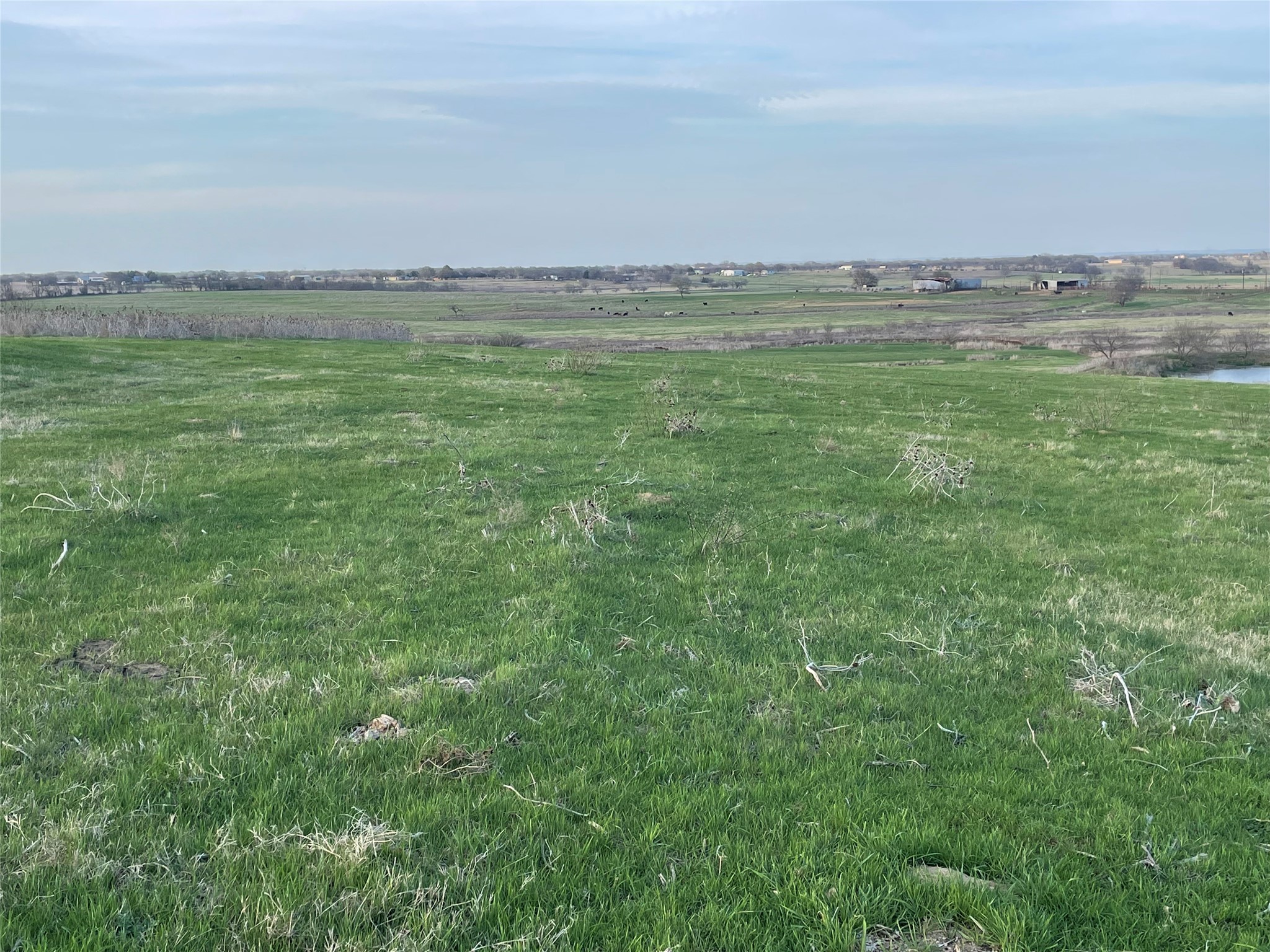 Tbd Pr 452 Grandview TX 76050
