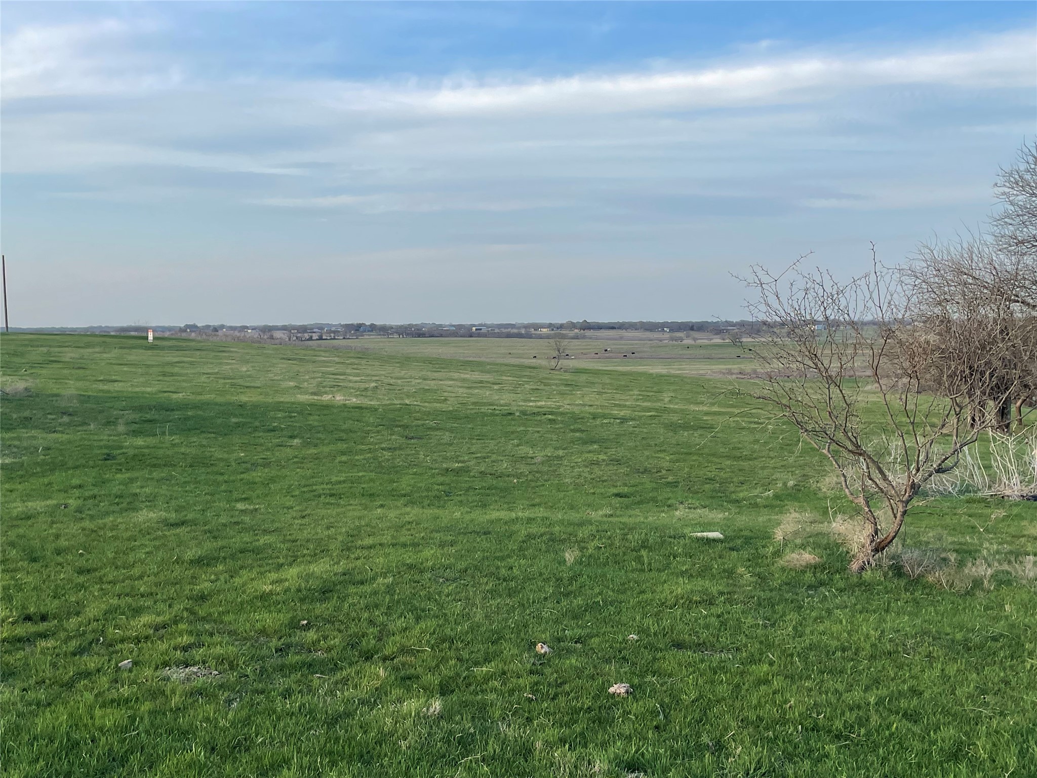 Tbd Pr 452 Grandview TX 76050