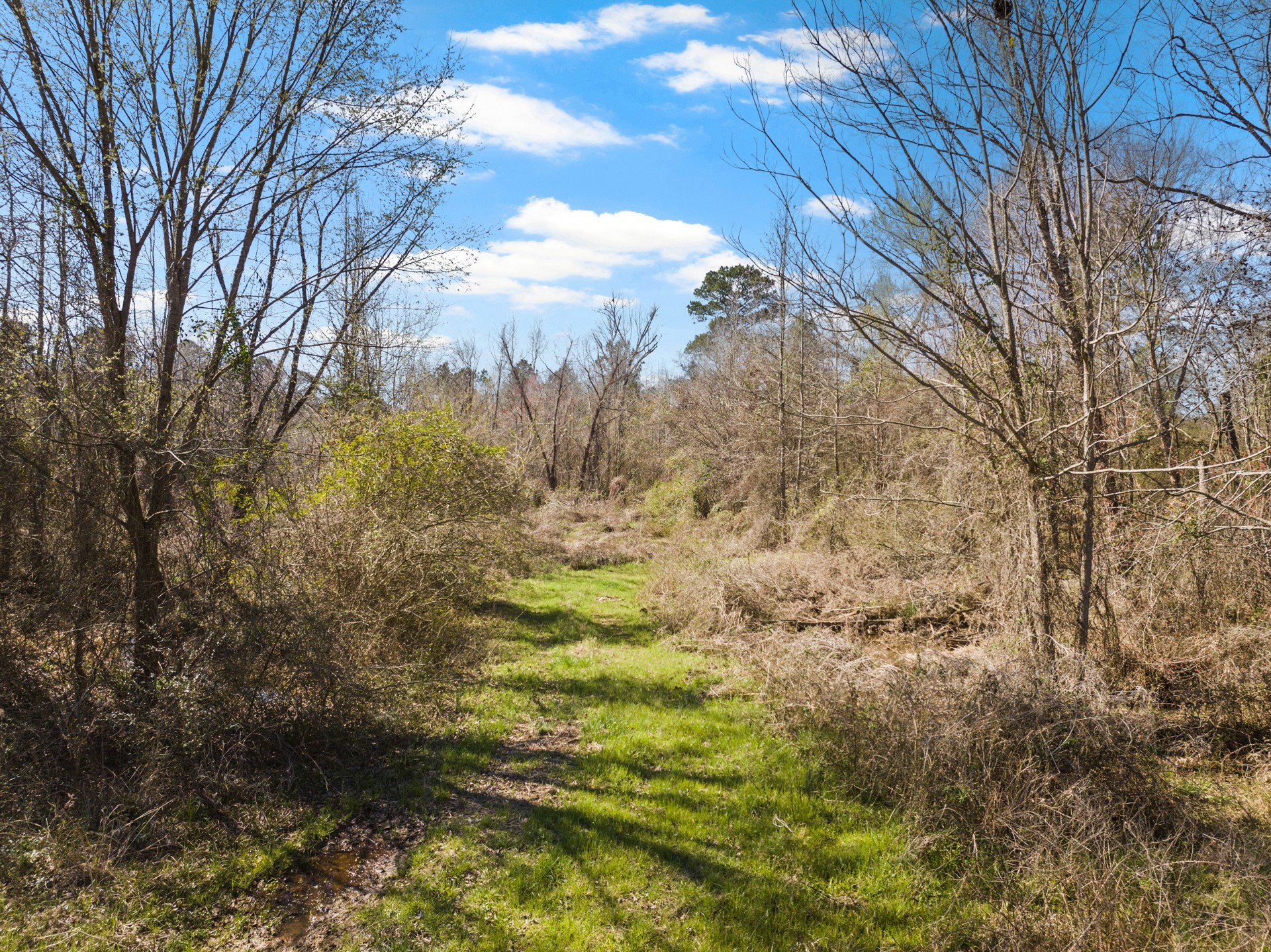 Tbd Nix Street Daingerfield TX 75638