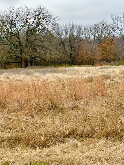 702 County Road 3597 Boyd TX 76023
