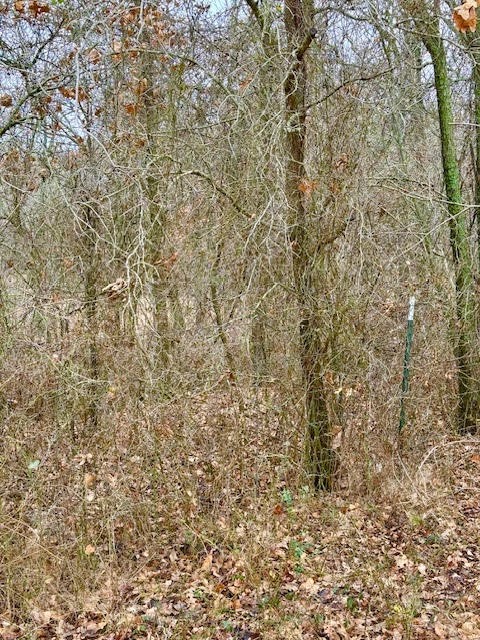 702 County Road 3597 Boyd TX 76023