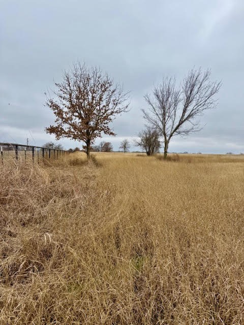 702 County Road 3597 Boyd TX 76023