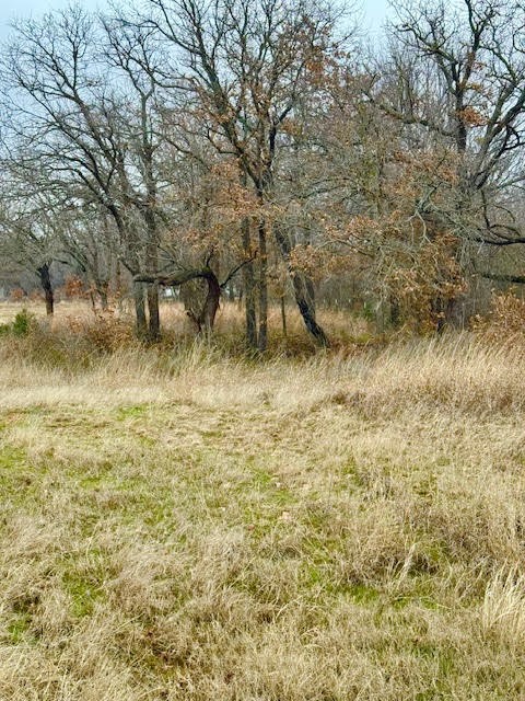 702 County Road 3597 Boyd TX 76023
