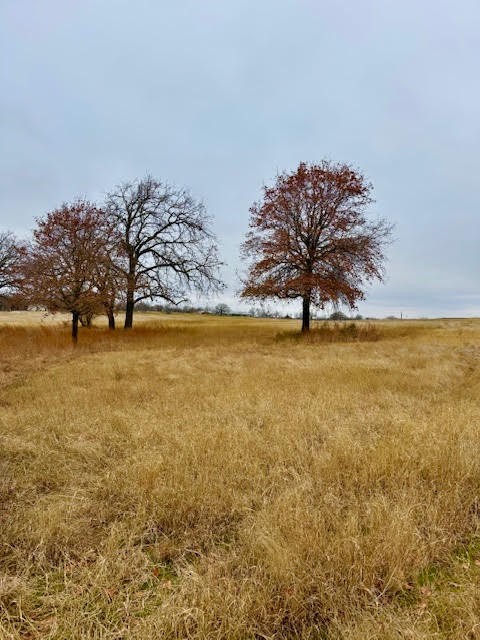 702 County Road 3597 Boyd TX 76023