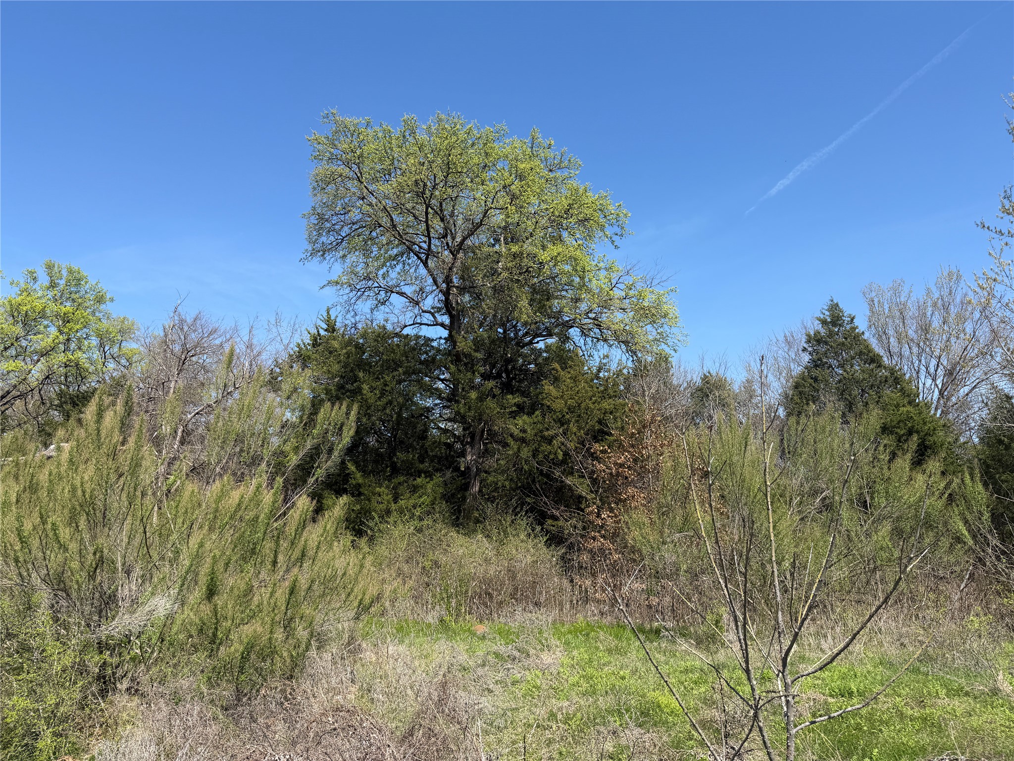 497 House Road Mansfield TX 76063
