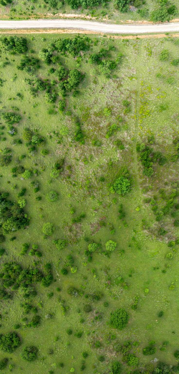 Lot 26 New Hope Road Santo TX 76484