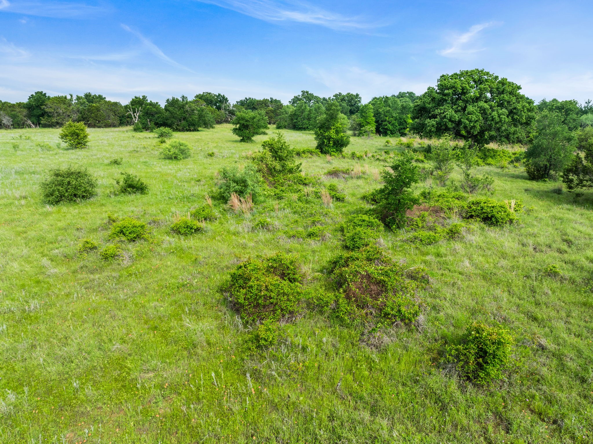 Lot 26 New Hope Road Santo TX 76484