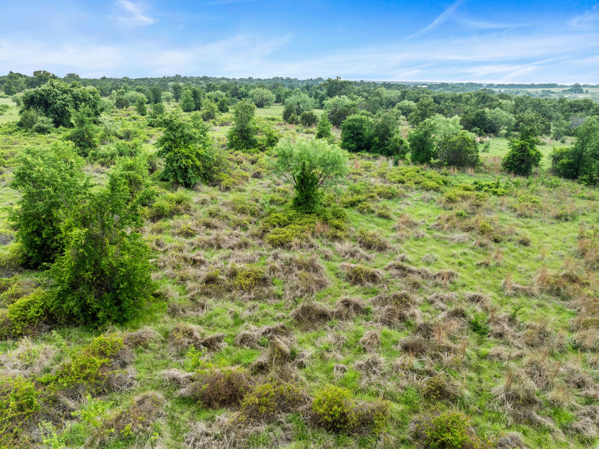 Lot 26 New Hope Road Santo TX 76484