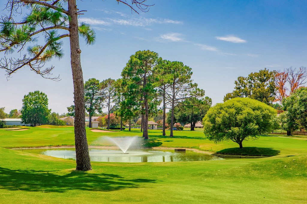 81 Ryder Cup Trail Hideaway TX 75771