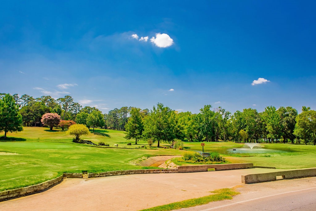 81 Ryder Cup Trail Hideaway TX 75771