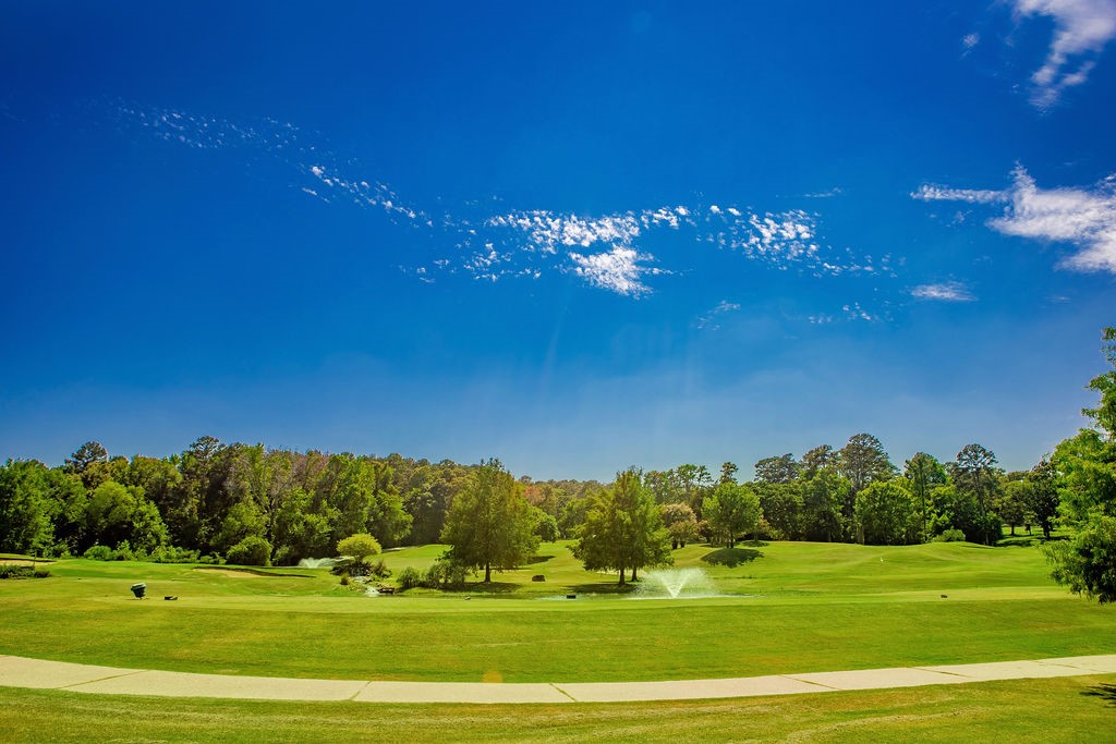 81 Ryder Cup Trail Hideaway TX 75771