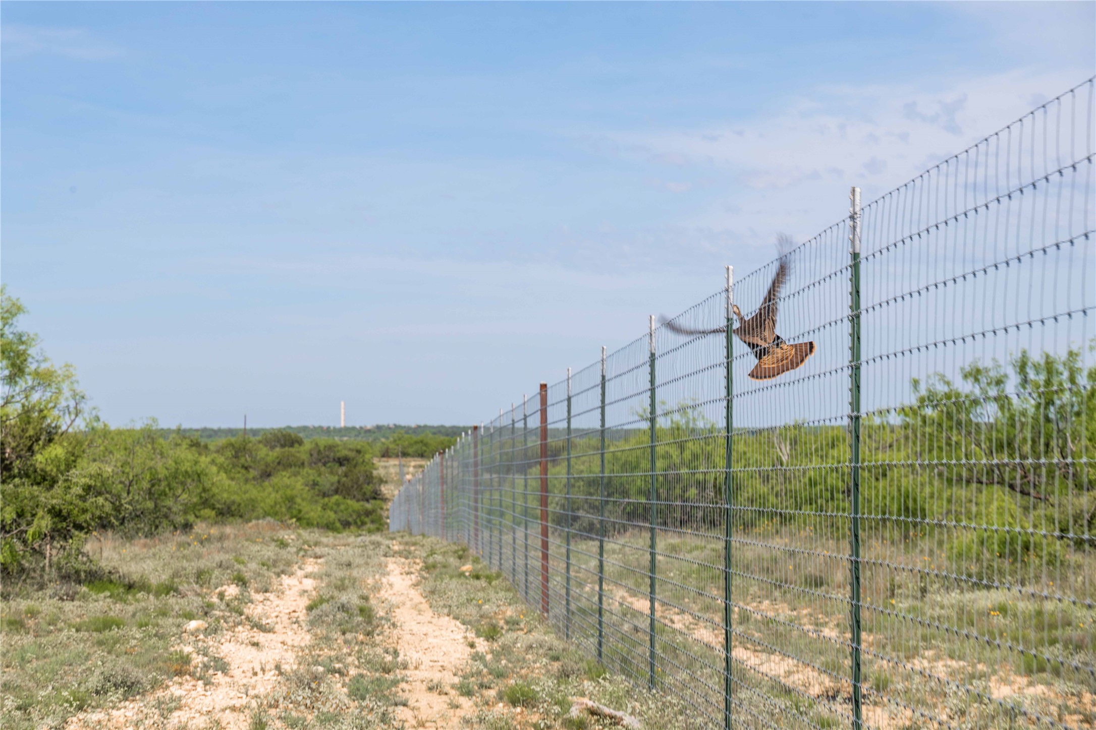 21800 Rr 11 Millersview TX 76862