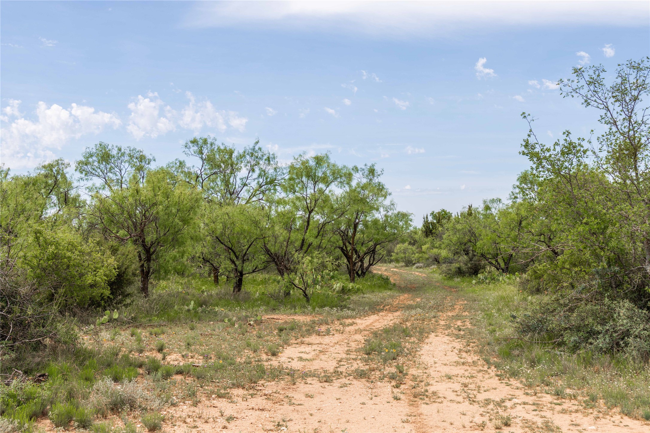 21800 Rr 11 Millersview TX 76862
