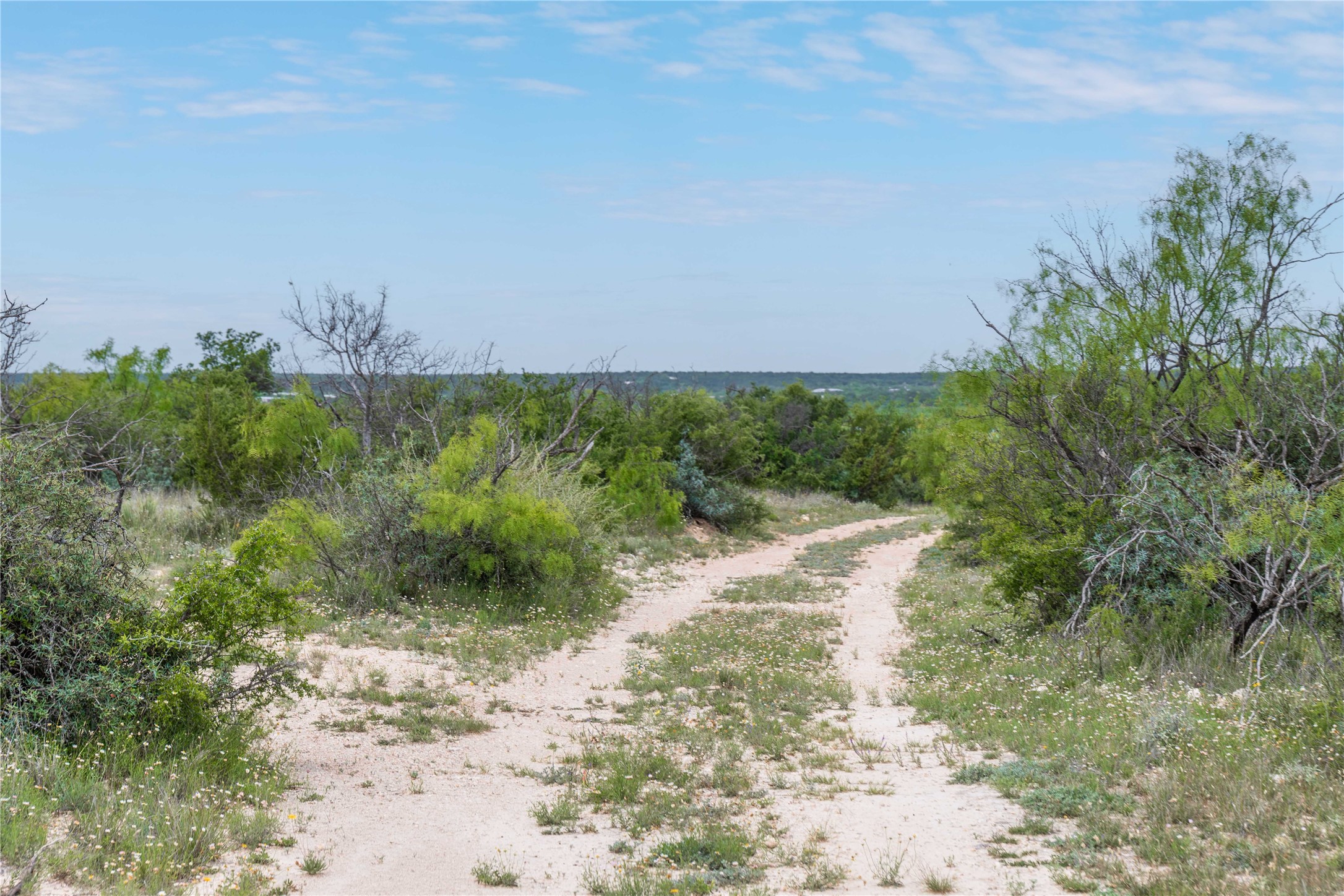 21800 Rr 11 Millersview TX 76862