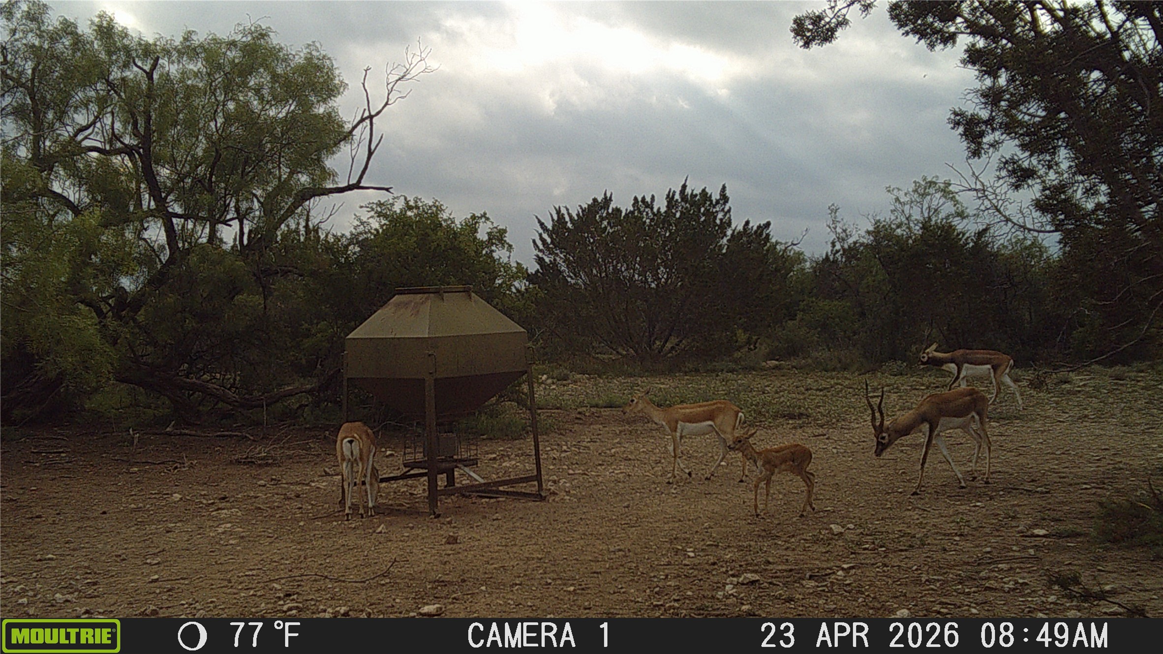 21800 Rr 11 Millersview TX 76862