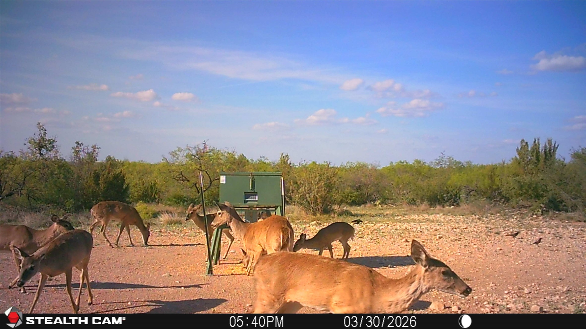21800 Rr 11 Millersview TX 76862