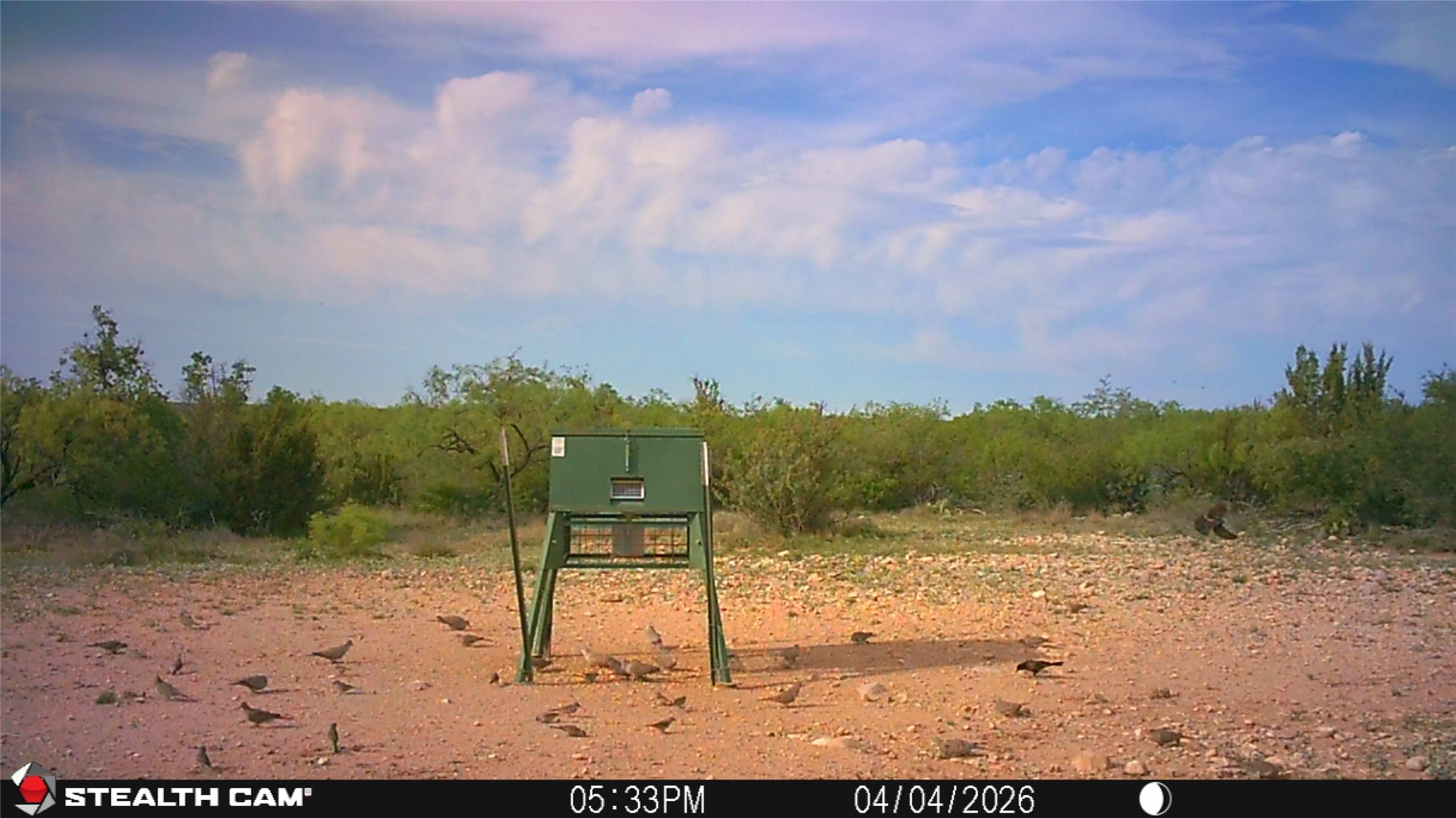 21800 Rr 11 Millersview TX 76862