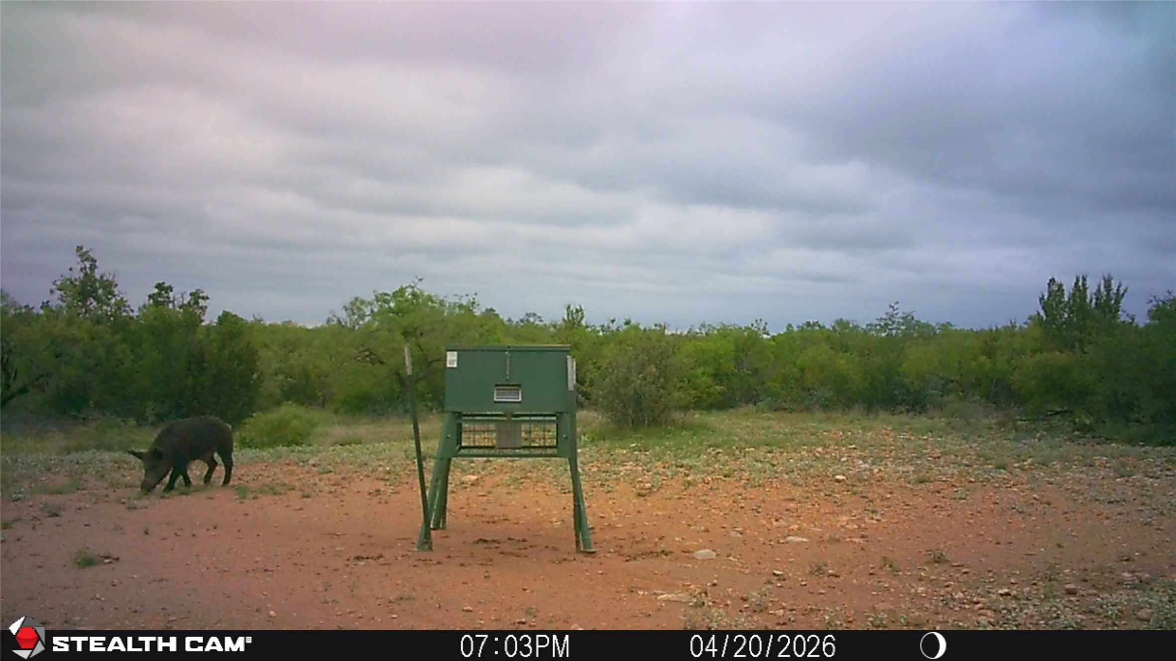 21800 Rr 11 Millersview TX 76862