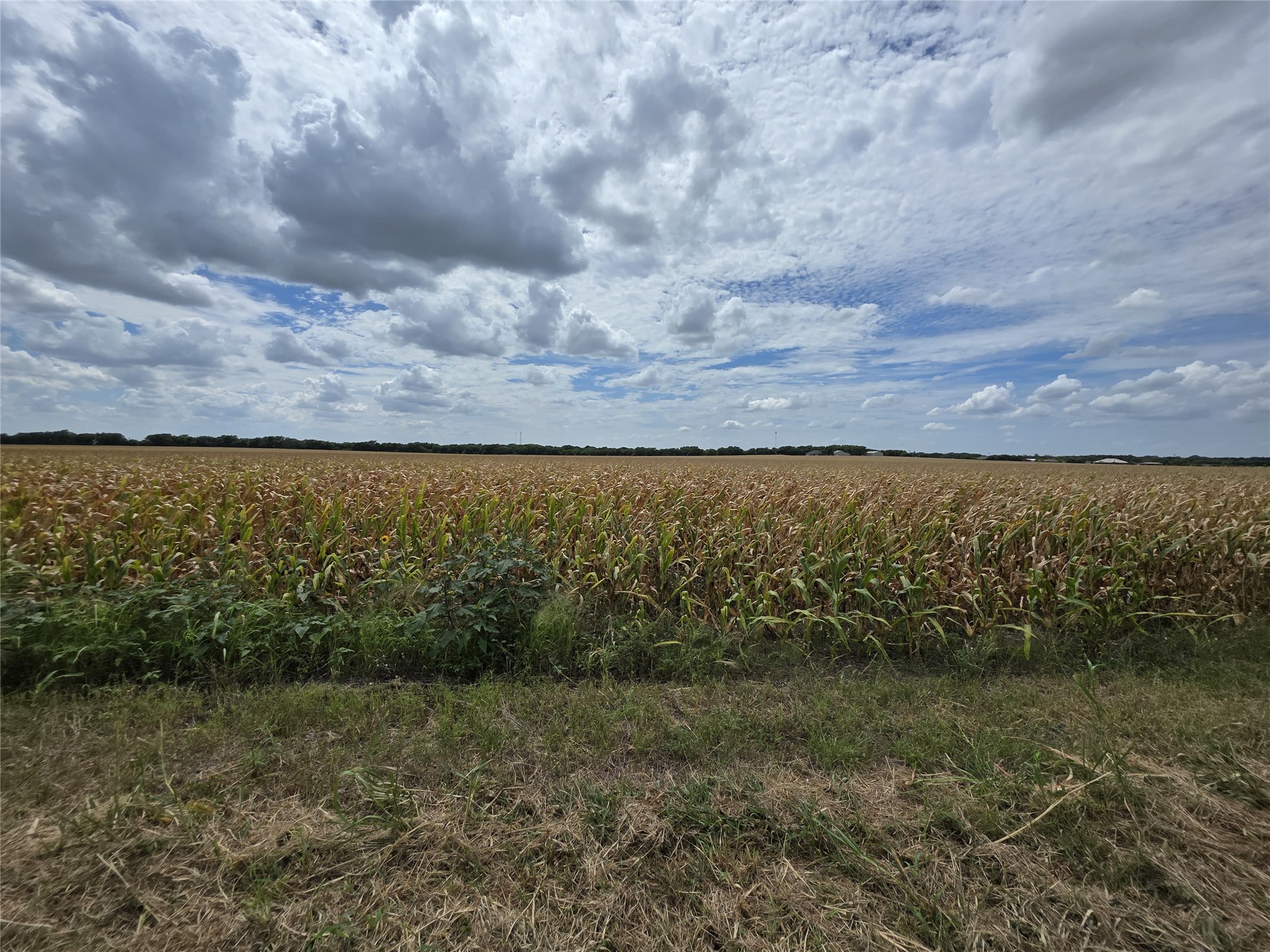 Tbd Old Tx-6 Van Alstyne TX 75495