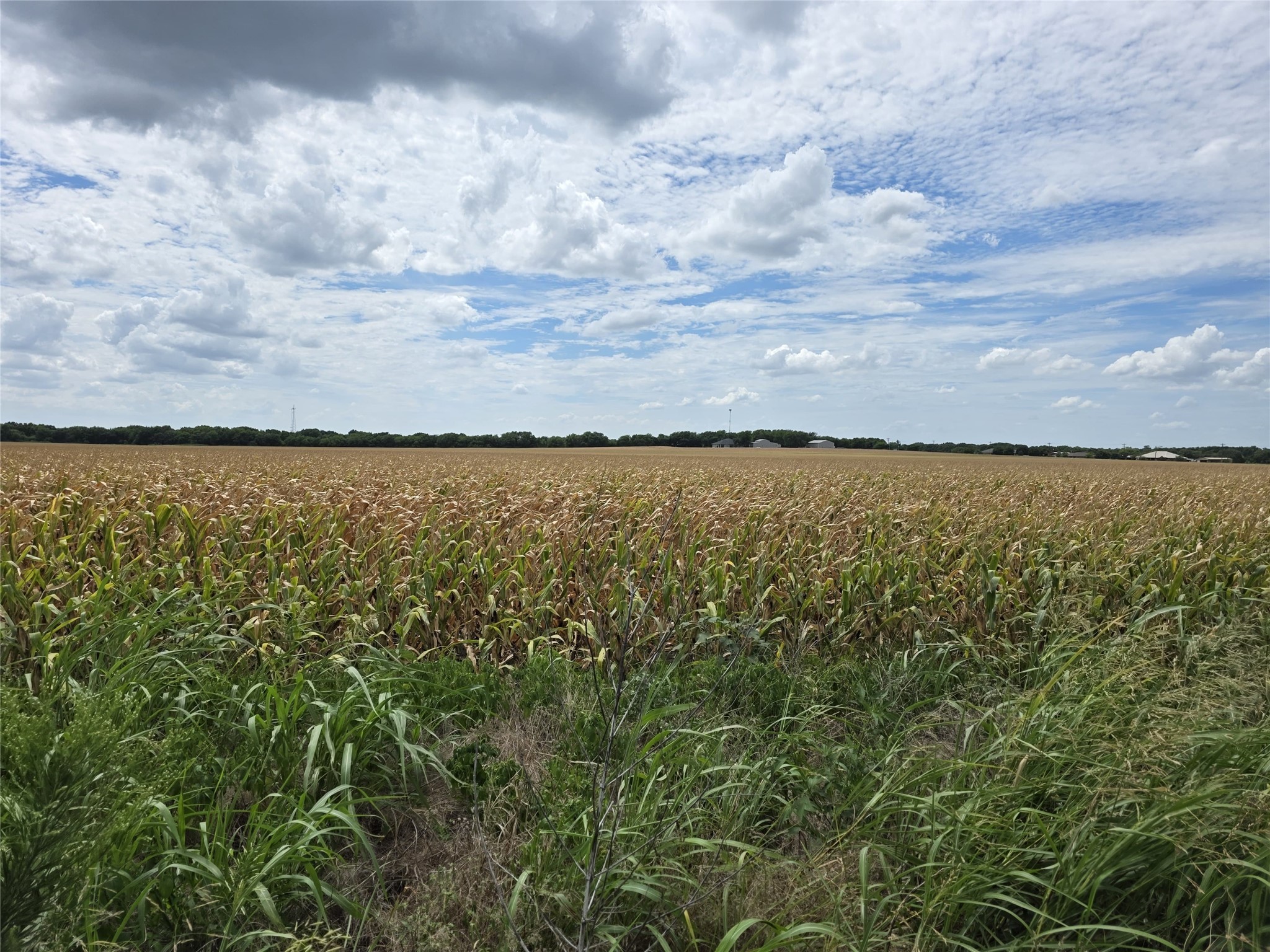 Tbd Old Tx-6 Van Alstyne TX 75495