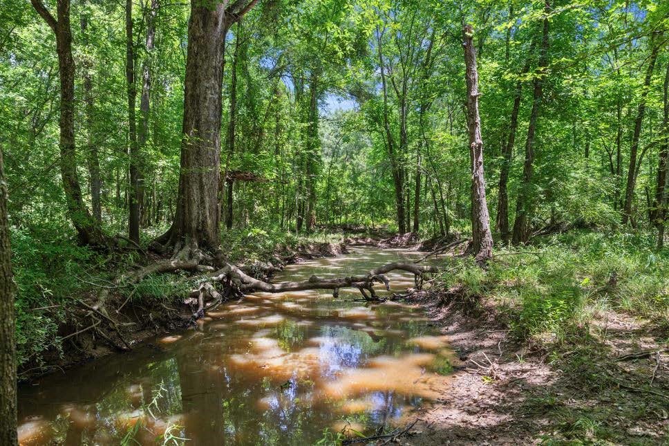 Tbd County Road 3527 Saltillo TX 75478