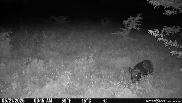 Tbd County Road 3527 Saltillo TX 75478