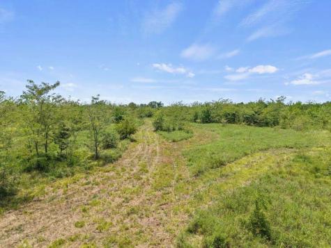Tbd County Road 3527 Saltillo TX 75478
