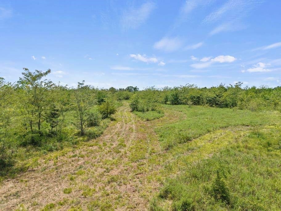 Tbd County Road 3527 Saltillo TX 75478