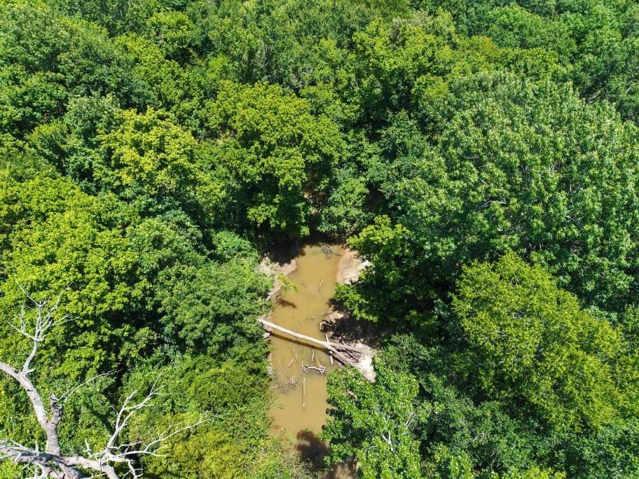 Tbd County Road 3527 Saltillo TX 75478